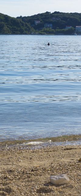 Apartments Hari Supetarska Draga