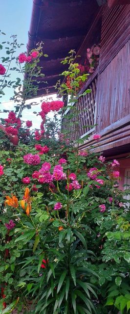 Pensiunea Boierului Imbrii Cârțișoara