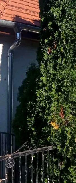 Fehér Ház Vendégház Kemence