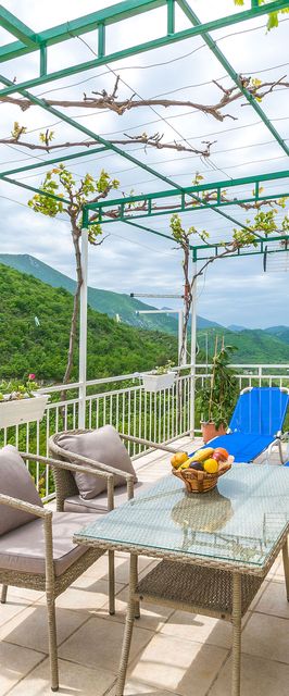 Apartment Green view Slime