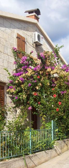 Apartments Dina Komiza