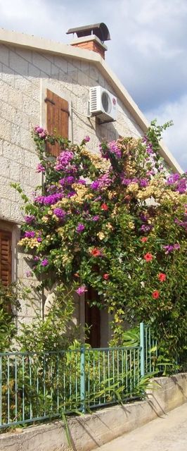 Apartments Dina Komiza