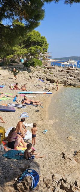 Apartments Sea and Pine Ivan Dolac