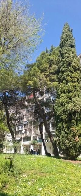 Apartment Vesna Split