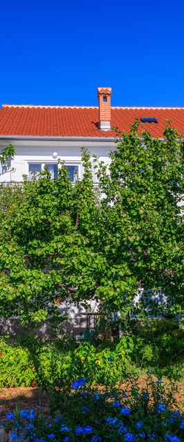 Apartments Ivica Barbat