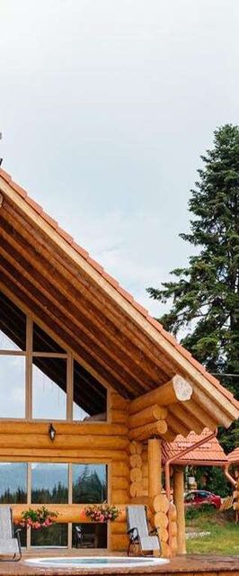 Rustic Chalet Călățele