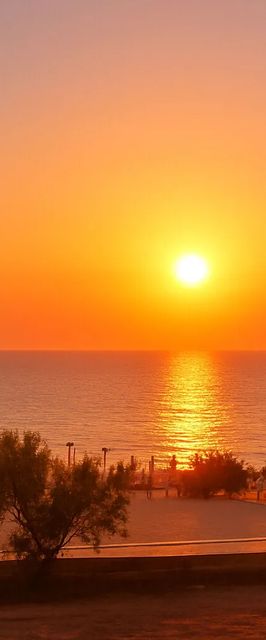 Lilly Beachfront Studio - Axxis Beach Mamaia Nord