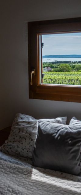 Tagyon Birtok Kései Szüret Apartmanház Tagyonhegy