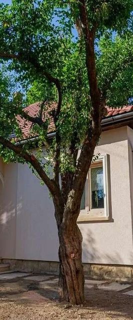 Stone House Târgu Secuiesc