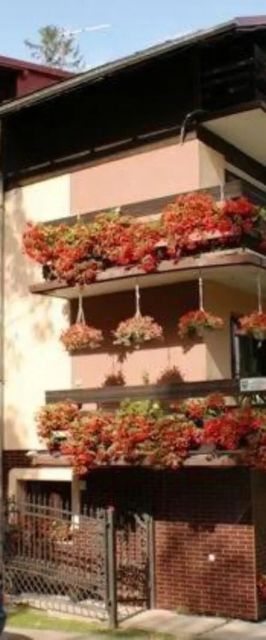 Willa Andromeda Karpacz