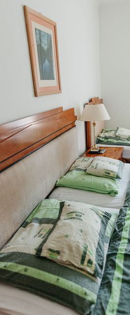 Malomerdő Panzió Pusztavám