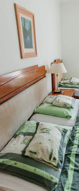 Malomerdő Panzió Pusztavám