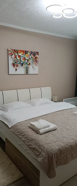 Serenity Apartment Băile Herculane