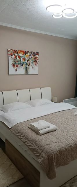 Serenity Apartment Băile Herculane