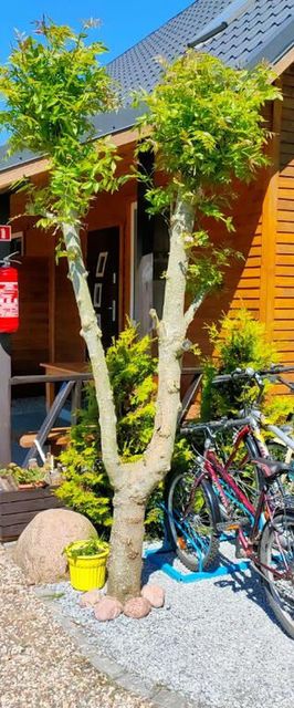 Domki Wakacyjne Zacisze Rusinowo