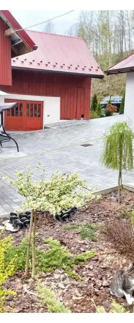 Pokoje gościnne u Moniki Kluszkowce