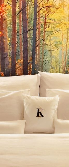 Wellness Penzion Lázně Kvilda