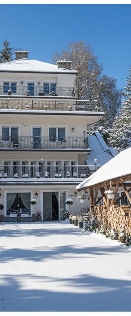 Willa Sepia Spa Wisła