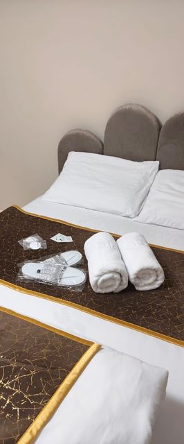 Casa Delfinului Retreat Ovidiu