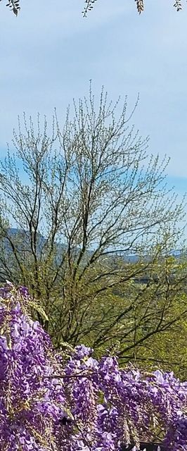 Sol Invictus Vendégház Zalahaláp