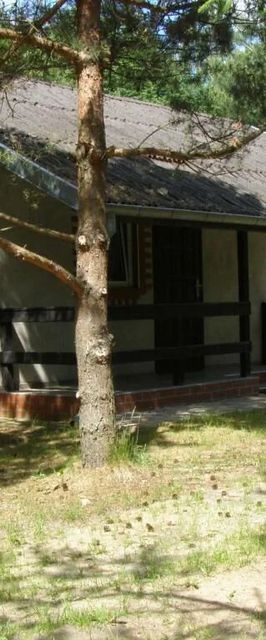 Domki Letniskowe Kobyłocha 