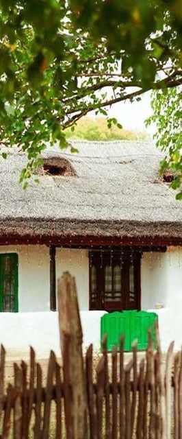 Casuta Muzeu La Artar Călugăreni