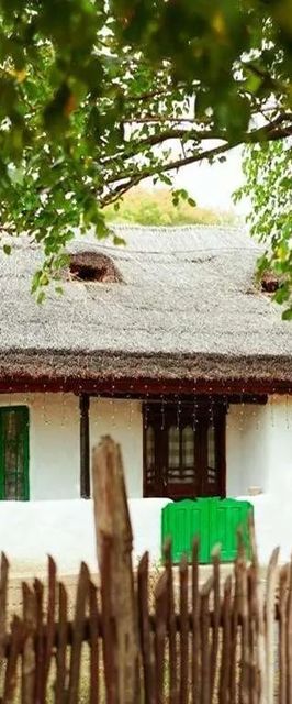 Casuta Muzeu La Artar Călugăreni