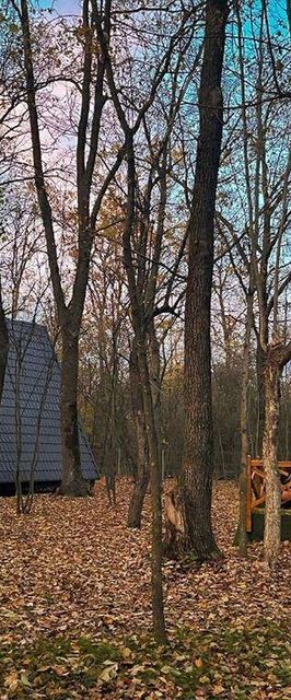 Casă de vacanță Artarica Călugăreni