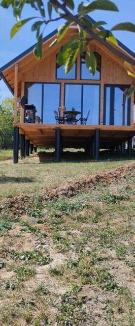 Cabana Valea Brazilor Băiculeşti