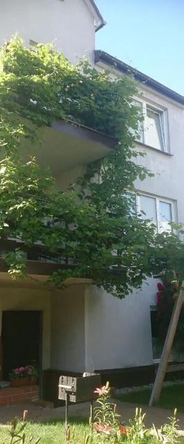 Pokoje u Asi Augustów