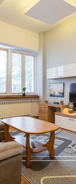Chic Apartments – Stylish & Cozy Studio in Center, Wspólna 