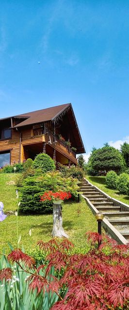 Cabana Montebello Colibita