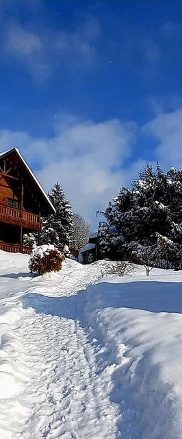 Cabana Montebello Colibita