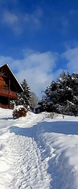 Cabana Montebello Colibita