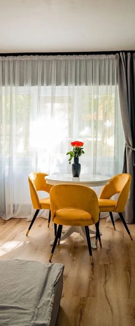 Modern Studio D-va N Zalău