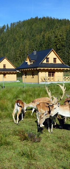 Domki Wypoczynkowe Romanówka Żywiec