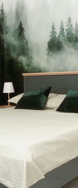 IBA Apartment Buşteni