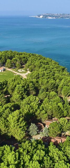 Apartments Kanegra Plava Laguna Umag