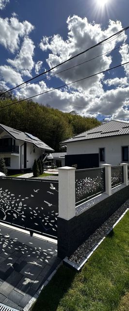 Casa din Vale Văliug