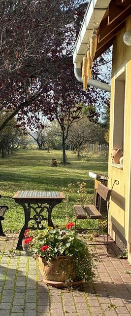 Nyugati Pihenö Gencsapáti