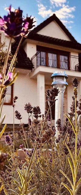 Lawendowy Dworek Dom Wakacyjny Laskówka
