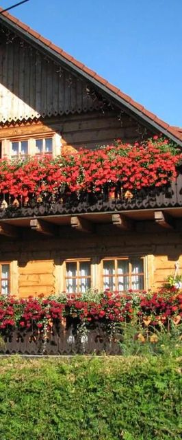 Willa Asia Wisła Polska