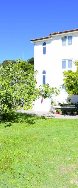 Apartments Rasic Palit