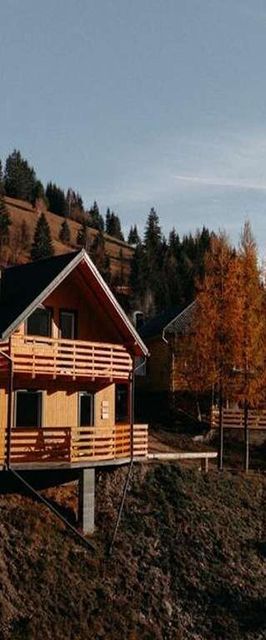 Cabana Village Brăduțu Dămuc