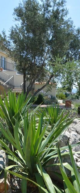 Apartmanok Parkolóhellyel Novi Vinodolski - 24716