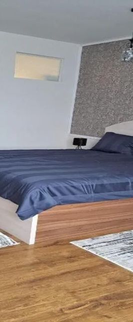 Apartament Anna City Timișoara