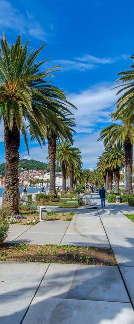 Apartment Black star Split