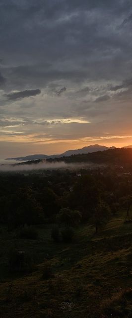Apartement Panoramic View Bran 