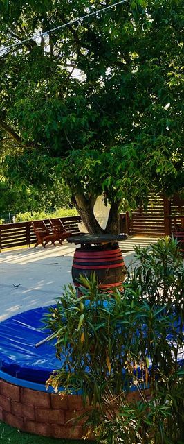 Juhász Pincészet és Vendégház Kóka