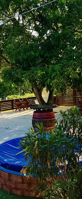 Juhász Pincészet és Vendégház Kóka